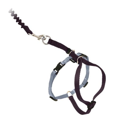 Tragegurt für Veterinärmedizin - Come With Me Kitty™ - PetSafe