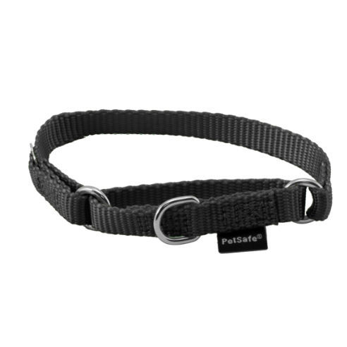 Hundekragen - PRC-P-3/8-BLK - PetSafe