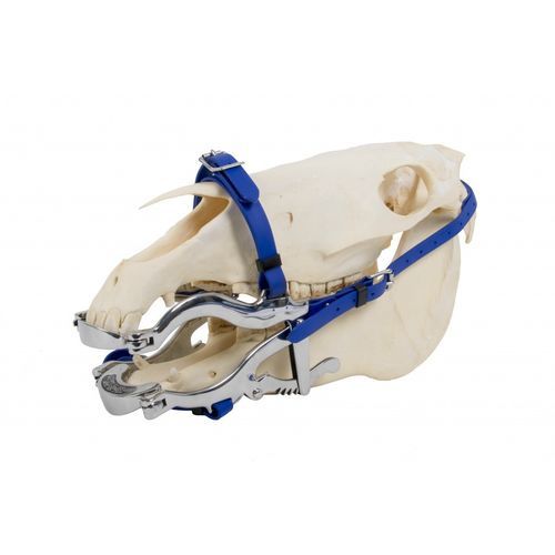 Dental-Veterinärspekulum - 4000 Serie    - Equus Dental - für Einhufer