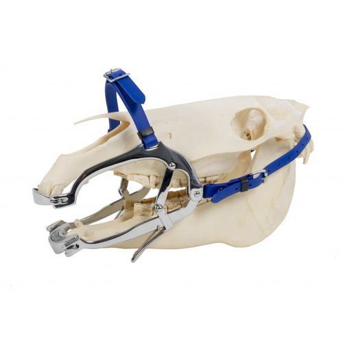 Dental-Veterinärspekulum - 2000 Serie - Equus Dental - für Einhufer