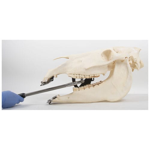 Handstück für Pferde - EFRA-EBS5050 - Equus Dental - gerade / Edelstahl / Aluminium