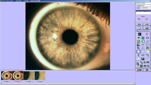 Import-Software - 3020-P-7041 - Keeler - Datei-Import / Erfassung / Druck