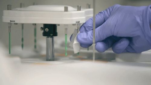 Automatisches biochemisches Analysegerät - AU480 - Beckman Coulter - Tisch / mit ISE / Urin