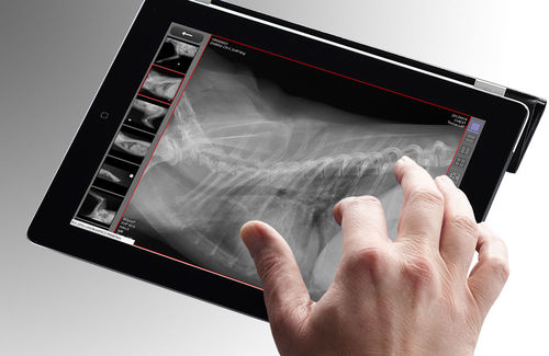 Web-Anwendung / Diagnose - dicomPACS® vet MobileView - OR Technology - Oehm und Rehbein - medizinisch / für Veterinärbildgebung / webbasiert