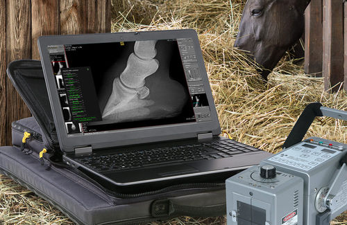 Software-Modul / Analyse - dicomPACS® vet - OR Technology - Oehm und Rehbein - für Radiologie / für Veterinärmedizin