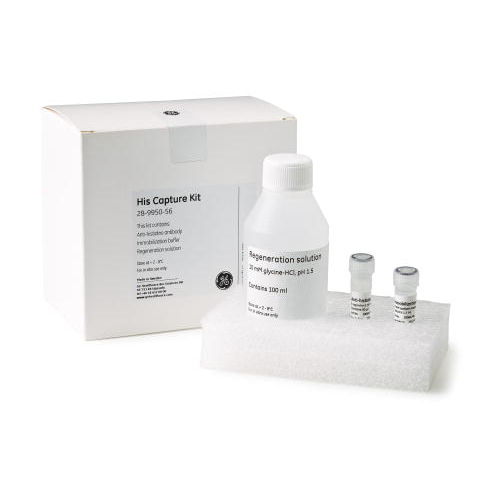 Reagenzkit / als Lösung - His  - GE Healthcare Life Sciences - monoklonaler Antikörper / für die Histologie / flüssig