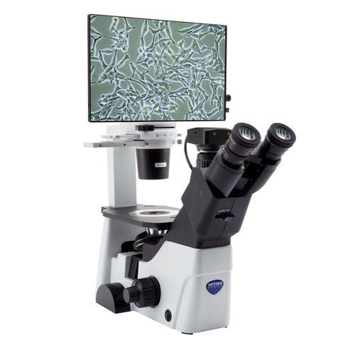 Optisches Mikroskop - IM-300D - Optika Italy - digital / Labor / Invers