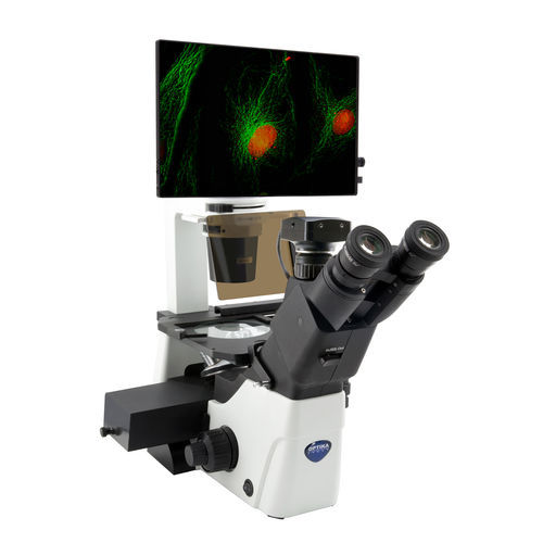 Optisches Mikroskop - IM-300LD4D - Optika Italy - digital / Labor / für Forschungszwecke