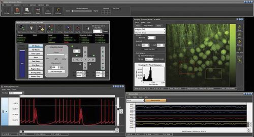 Analysesoftware - MCS - Sutter Instrument - Datenanalyse / Monitoring / Beschaffung