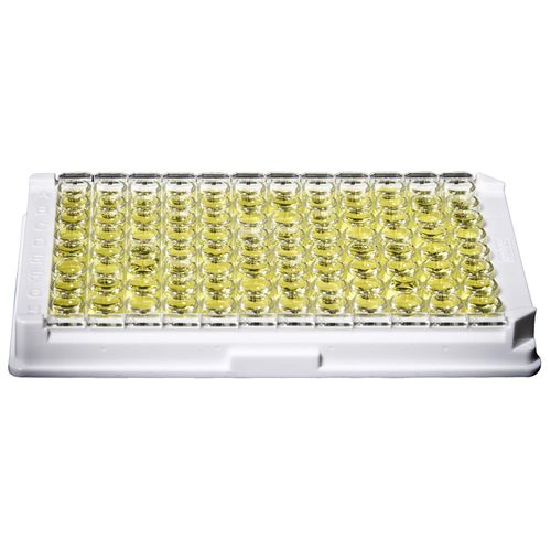 IgM-Testkit - 720-650 - Gold Standard Diagnostics - Epstein-Barr-Virus / ELISA
