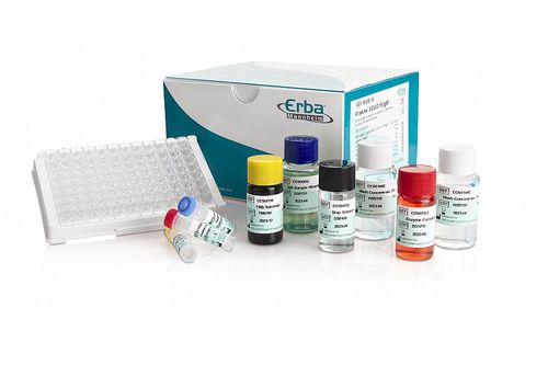 COVID-19-Testkit - ErbaLisa - Erba Lachema - IgM / SARS-COV-2 / Serum