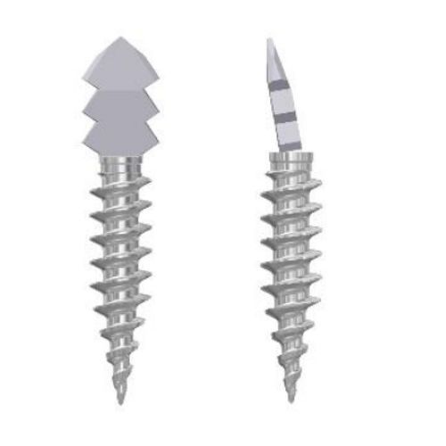 Arthrodeseschraube für Interphalangealgelenk des Fußes - Health-Joy Medical - für Vorfuß / ohne Kopf / Metall