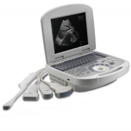 Tragbares Ultraschallgerät - Dolphi pro    - Meditech Equipment - für Multifunktions-Ultraschall / Schwarz-Weiß / mit integrierter Konsole