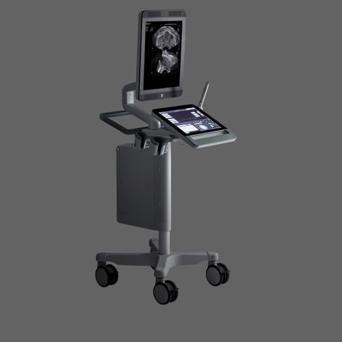 Ultraschallgerät mit Konsole - bkSpecto - BK Ultrasound - für urologische Diagnostik / Schwarz-Weiß / mit Touchscreen