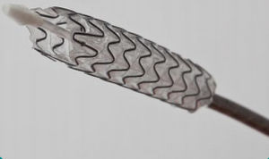 Gallenstent - BIS - Allium Medical Solutions - Nitinol