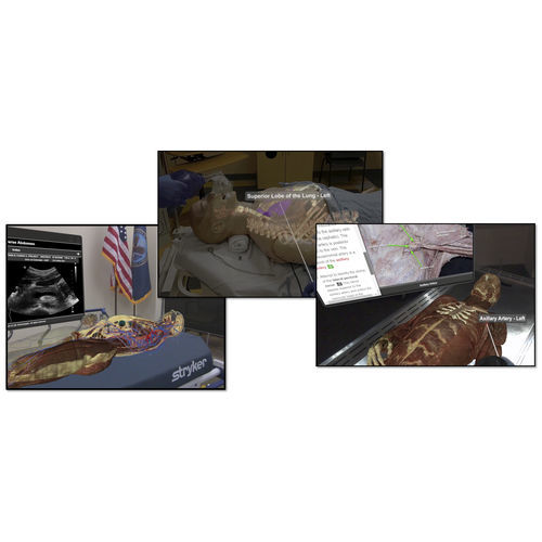 Ausbildungs-Simulationsmodul - VH Dissector - Touch of Life Technologies (ToLTech) - Anatomie / chirurgisch / Augmented Reality