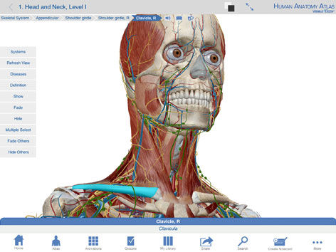 IOS-Applikation / Ausbildung - Human Anatomy Atlas - Visible Body - Diagnose / Bilderfassung / Anatomie