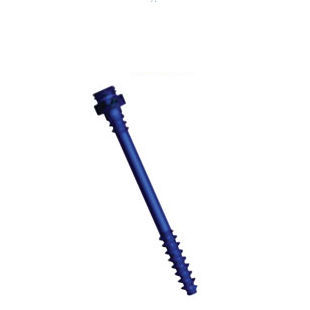 Thorako-lumbale Knochen-Kompressionsschraube - Facet - Precision Spine - kanüliert / Titan