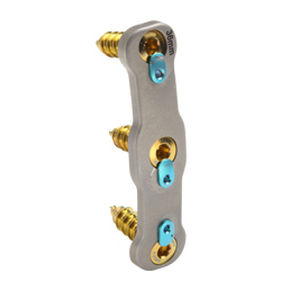 HWS-Arthrodeseplatte - Simplicity® SOLO - Precision Spine - anterolateral / mit Verriegelung / Metall