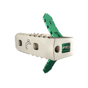 LWS-Zwischenwirbelimplantat - Avenue® L - LDR Medical - lateraler Zugang