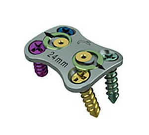 HWS-Arthrodeseplatte - C-PLATE® - LDR Medical - mit Verriegelung / Metall / 1 Ebene