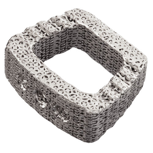 HWS-Zwischenwirbelimplantat - IdentiTi™ C - Alphatec Spine - ventraler Zugang / Titan