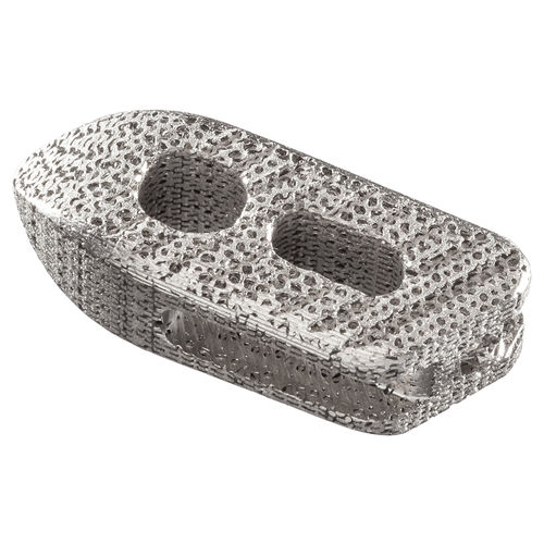 Thorako-lumbales Zwischenwirbelimplantat - IdentiTi™-PO - Alphatec Spine - dorsaler Zugang / schräger Zugang / Titan
