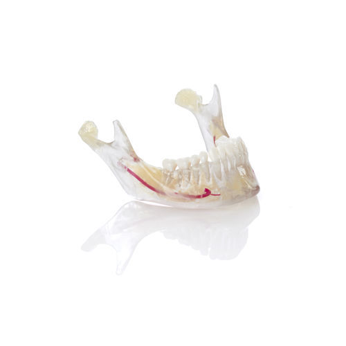 Zahnmedizinisches Material / Harz - VeroDent PureWhite DEN847™ - Stratasys - orthodontisch / für 3D-Druck / zur Modellierung