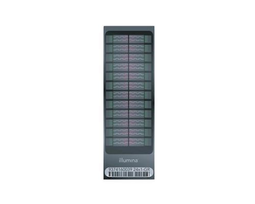 Microarray für DNA - Infinium Asian - Illumina - Blut