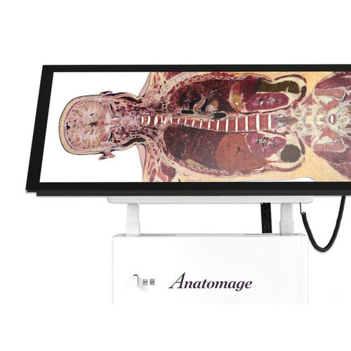 Anatomietisch für die Ausbildung - Alpha - Anatomage - virtueller Sezier / rechteckig
