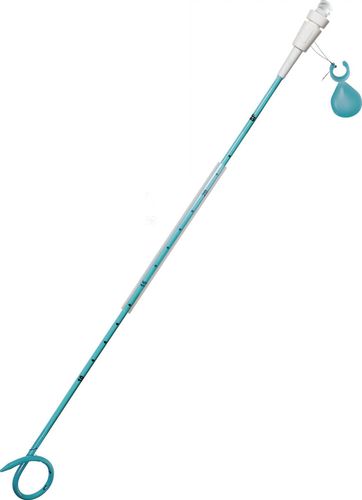 Urindrainage-Katheter - SKATER™ - Argon Medical Devices - Gallen / mit hydrophiler Beschichtung