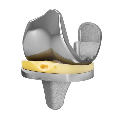 Femur-Patella Knieprothese - EMPOWR CR® - Trilliant Surgical - mit fester Scheibe