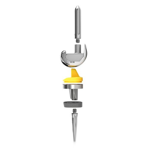 Femur-Patella Knieprothese - EXPRT™ - Trilliant Surgical - Revision / mit mobiler Scheibe / zementiert
