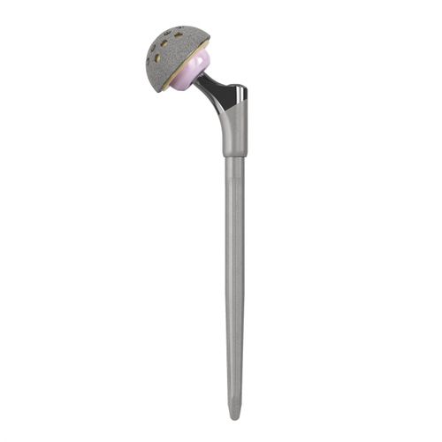 Revisions-Hüftprothese - EXPRT® - Trilliant Surgical - zementfrei