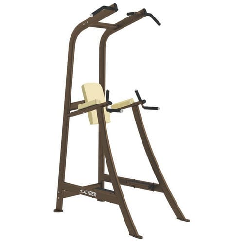Römischer Stuhl mit Klimmzugstange - Free Weights - Cybex