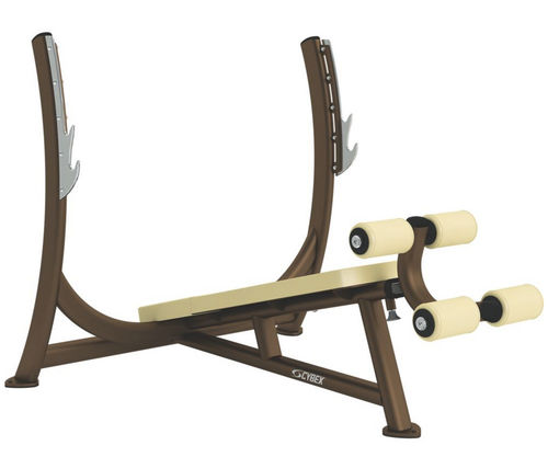 Invers-Kraftbank - Free Weights - Cybex - mit Hantelscheibenablage
