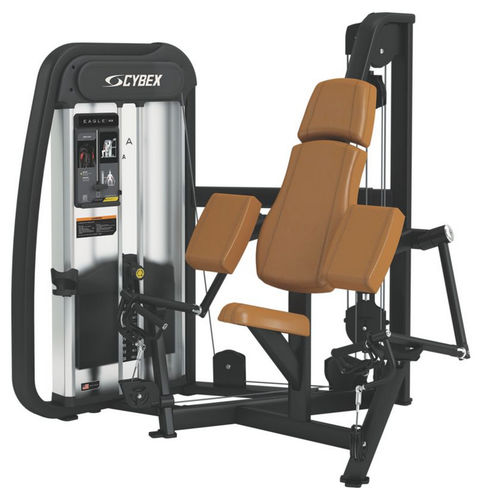 Bizepscurl-Kraftstation - Eagle NX - Cybex