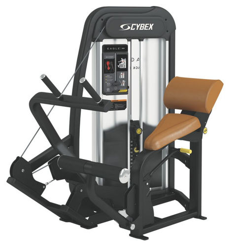 Rückenstreckungs-Kraftstation - Eagle NX - Cybex