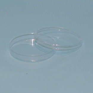 Polystyrol-Petrischale - BRB040 - Auxilab S.L.
