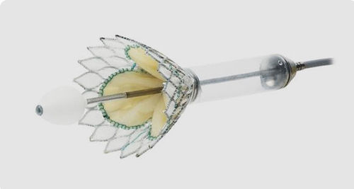 Biologischer Aortenklappenersatz / Mitral - Cardiovalve - Valtech - nahtlos