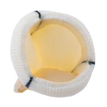 Biologischer Aortenklappenersatz / Aorta - Dokimos® Plus - Labcor - aus Rindergewebe