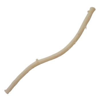 Vaskuläre Bioprothese / Arterie - 10171250026 - Labcor - allograft