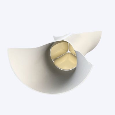 Vaskuläre Bioprothese / Lungenarterie - Velum® - Labcor - mit Ventil / für Kinder