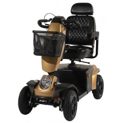 Elektrisches Elektromobil - FR1 Cruiser - Luggie - mit 4 Rädern / mit Korb
