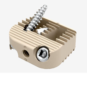 HWS-Zwischenwirbelimplantat - CA series - Genoss - ventraler Zugang / aus PEEK