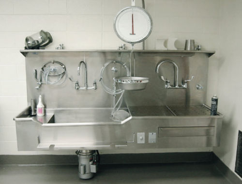 Spüle für Autopsie - SR1910 Series  - Spire Integrated Solutions - 1 Station / Edelstahl / mit Abtropffläche