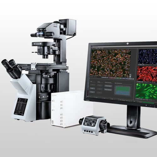 Automatisiertes Zell-Imaging-System - ScanR - Evident - Olympus Scientific Solutions - Labor / high content