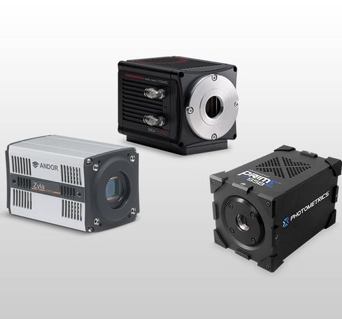 Mikroskop-Kamera - sCMOS - Evident - Olympus Scientific Solutions - digital / CMOS / sCMOS
