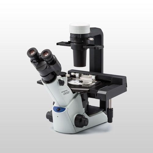 Inversmikroskop - CKX53 - Evident - Olympus Scientific Solutions - optisch / Labor / für Forschungszwecke