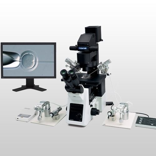 Optisches Mikroskop - IX3-ICSI/IMSI  - Evident - Olympus Scientific Solutions - Labor / Invers / plan